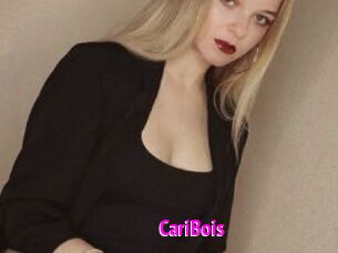 CariBois