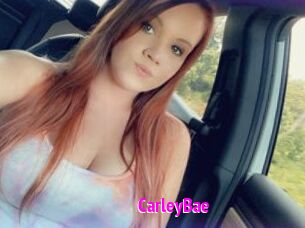 CarleyBae Porn Loverz