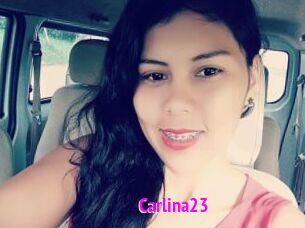 Carlina23