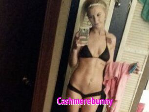 Cashmerebunny