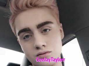 CeeJayTaylorr