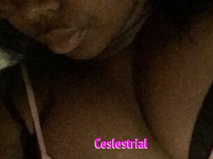 Ceslestrial