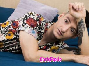 ChrisFoxie Porn Loverz