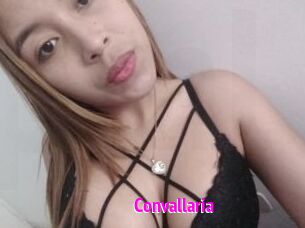 Convallaria