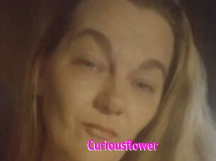 Curiousflower