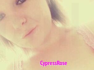 Cypress_Rose