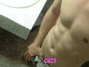 Cal23