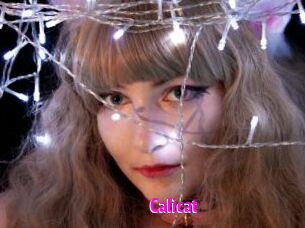 Calicat