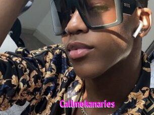 Callmekanaries
