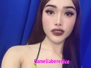 Cameliaberenice