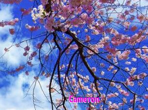 Cameron