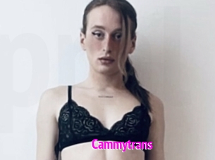 Cammytrans
