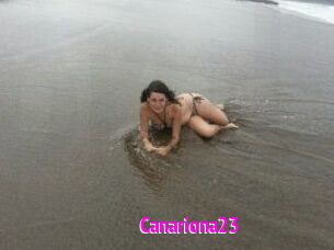 Canariona23