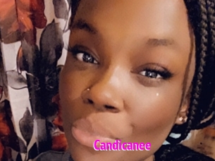 Candicanee