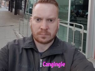 Cangingie