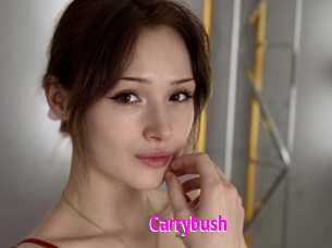 Carrybush
