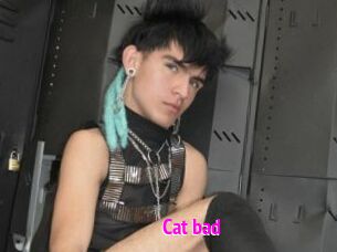 Cat_bad