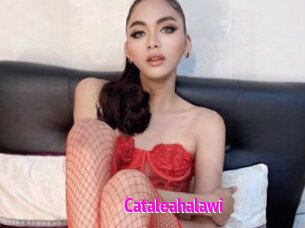 Cataleahalawi