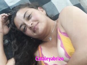 Cataleyabrizo