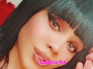 Catalina_fox
