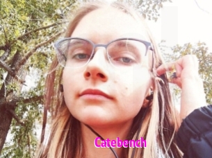 Catebench