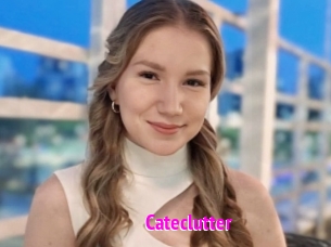 Cateclutter