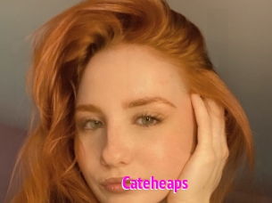Cateheaps