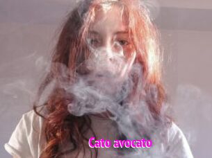 Cato_avocato