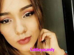 cattleyacandy Porn Loverz