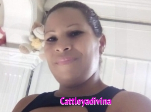 Cattleyadivina