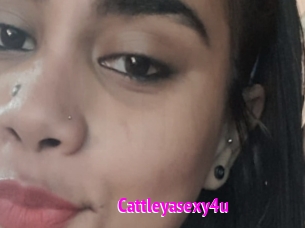 Cattleyasexy4u