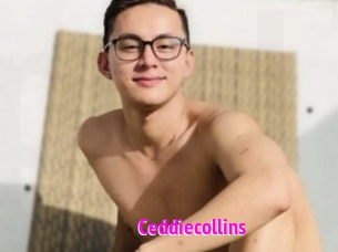 Ceddiecollins