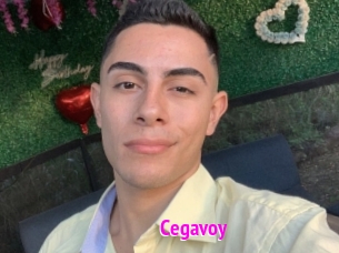 Cegavoy