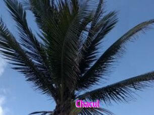 Chacul