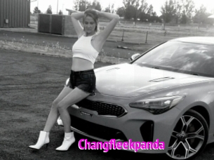 Changfleekpanda
