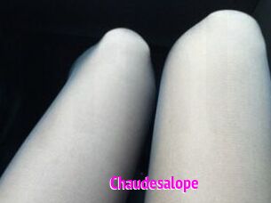 Chaudesalope