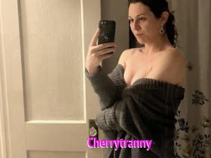 cherrytranny Porn Loverz