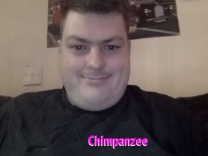 Chimpanzee