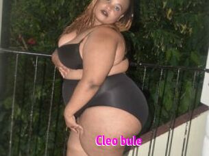 Cleo_bule