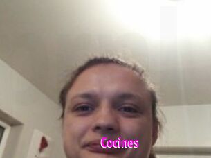 Cocines