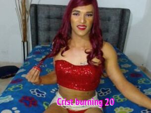 Crist_burning_20