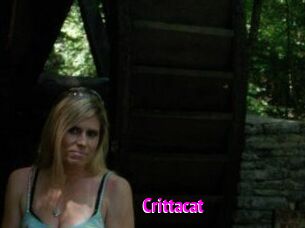 Crittacat