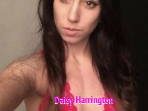 Daisy_Harrington