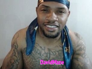 David_Maze