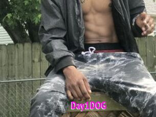 Day1DOG