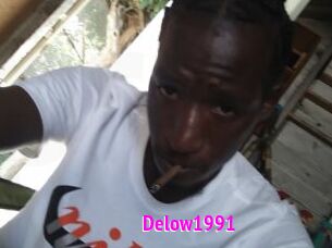 Delow1991