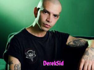 DerekSid