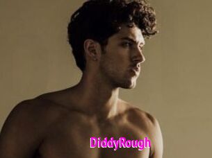 DiddyRough