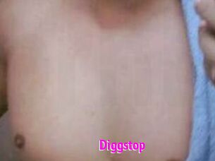 Diggstop