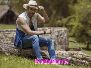 DomiinicSantos